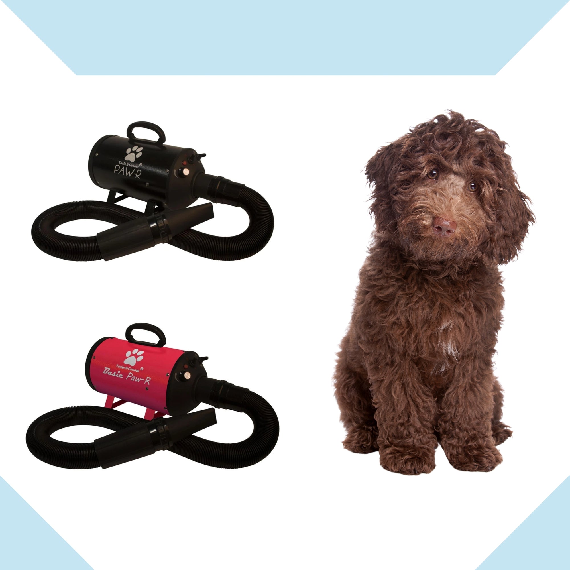 Beste Waterblazer Labradoodle