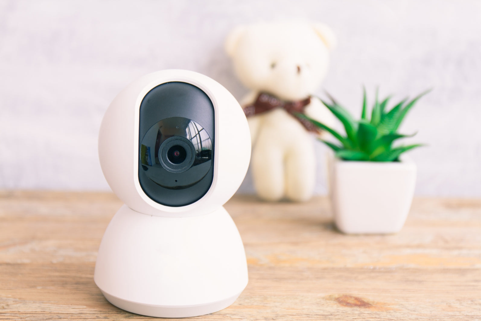 Beste hondencamera
