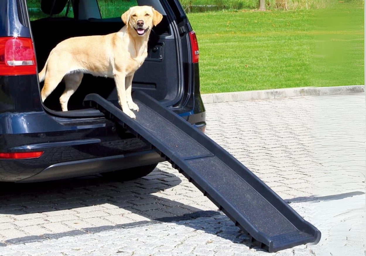 Beste loopplank hond