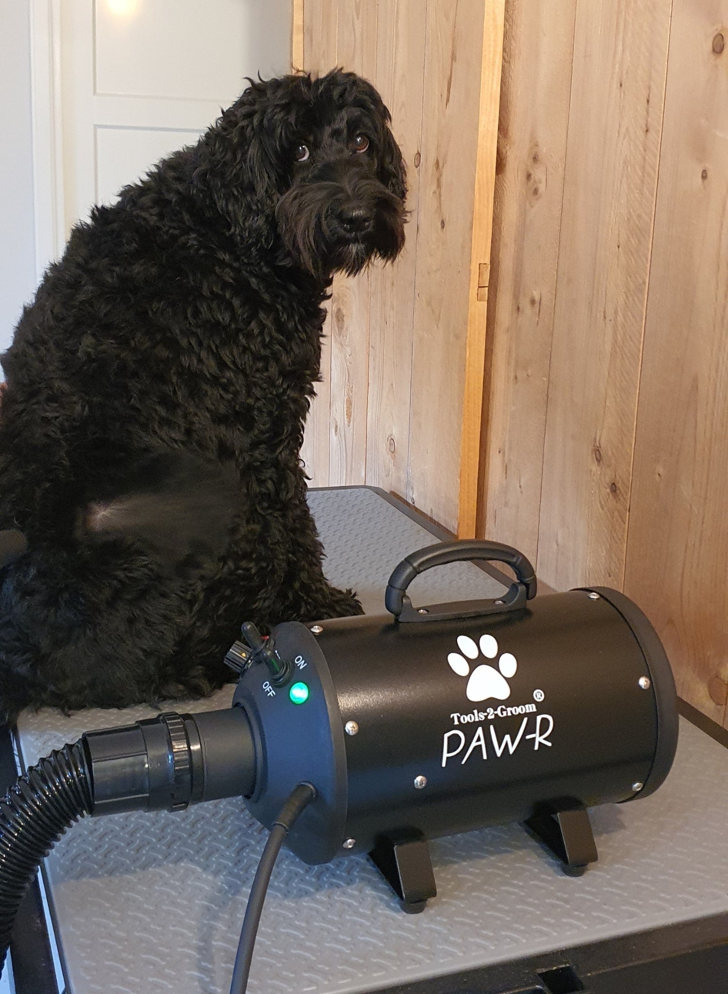 Waterblazer Paw-R