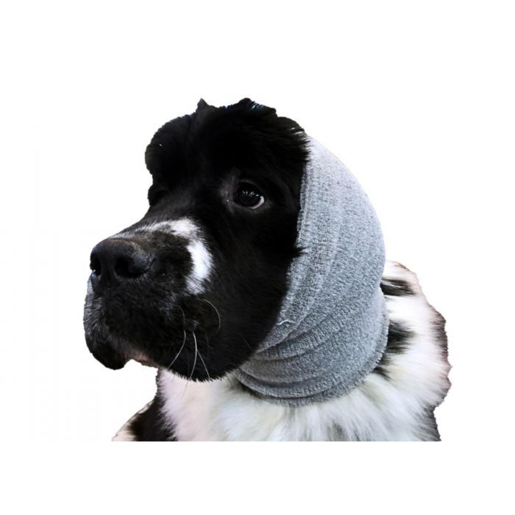 Waterblazer oorbeschermers hond